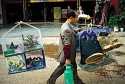 man with birds